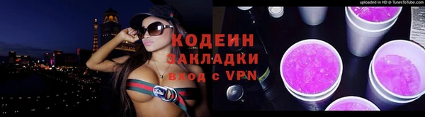сатива Губаха