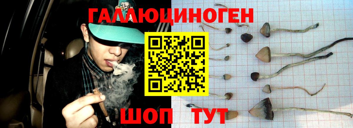 Псилоцибиновые грибы Cubensis  Вход с VPN  Галлюциногенные грибы GOLDEN TEACHER  Заводоуковск 