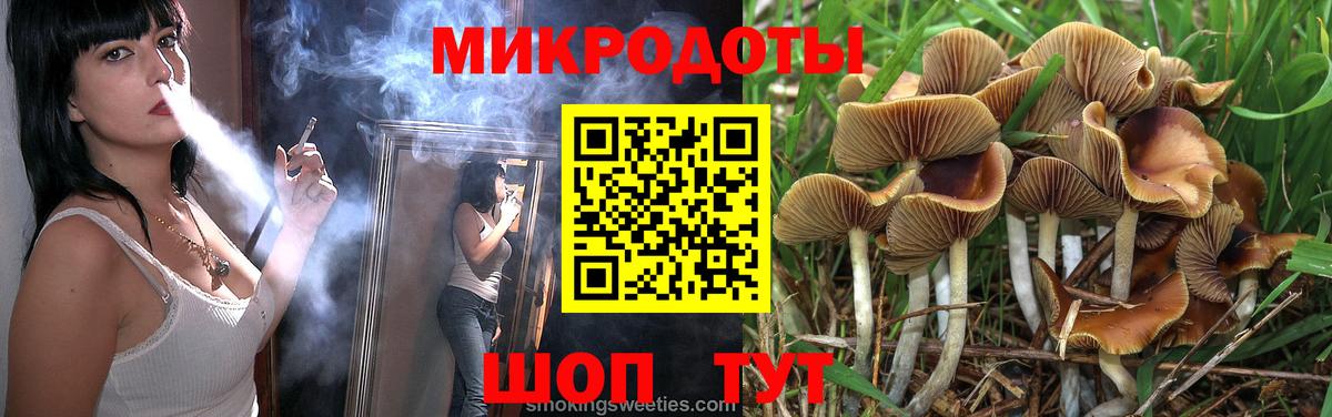 Псилоцибиновые грибы мухоморы Заводоуковск